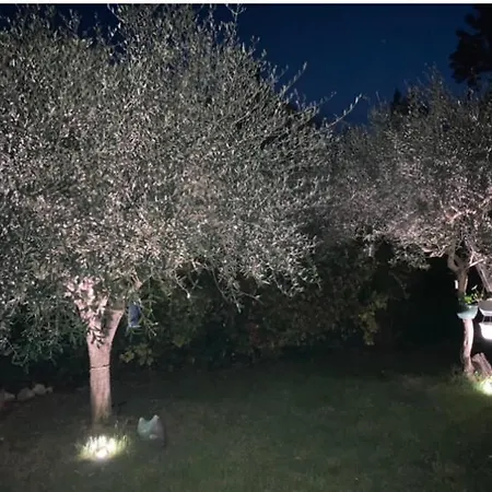 ホテル Refaite A Neuf Sur Jardin Arbore *